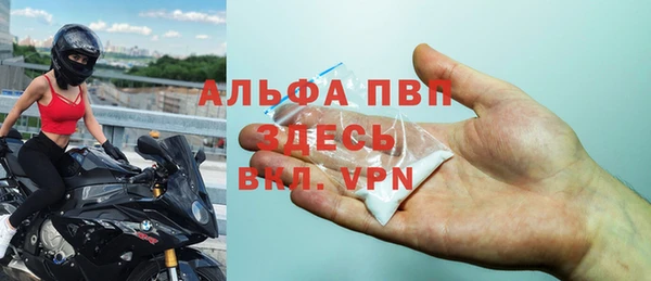 шишки Абинск