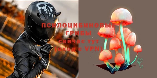 шишки Абинск