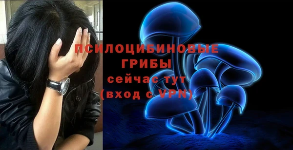 эйфоретик Абаза