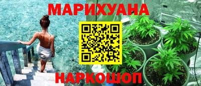 сатива Нальчик