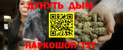 сатива Нальчик