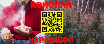 сатива Нальчик
