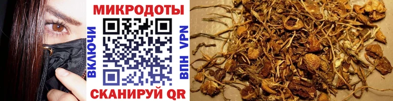 сколько стоит  Саранск  Псилоцибиновые грибы ЛСД 