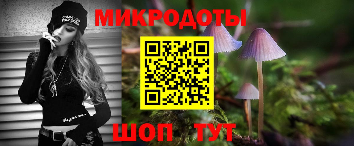 где купить наркотик  Галлюциногенные грибы мухоморы  Вход с VPN  Саранск 